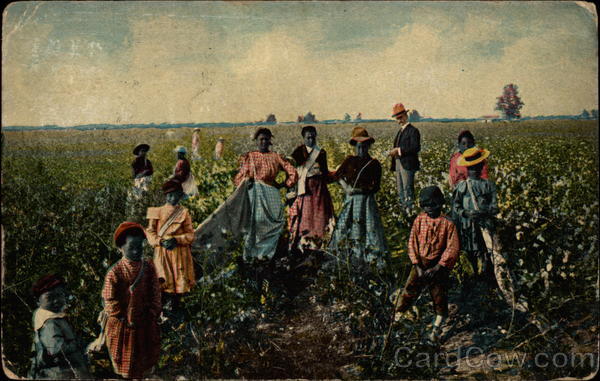 Slave women and children picking cotton under the watchful eye of their