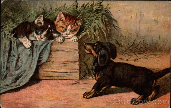 Daschund and Kittens Multiple Animals