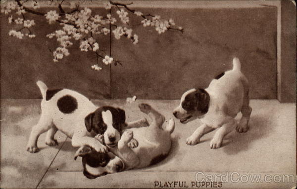 Playful Puppies Dogs