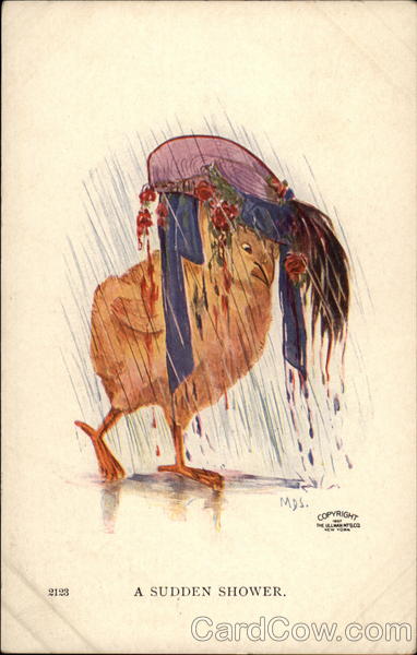 A Sudden Shower Birds