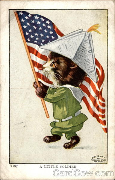 A Little Soldier Cats