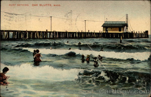 Surf Bathing Oak Bluffs Massachusetts