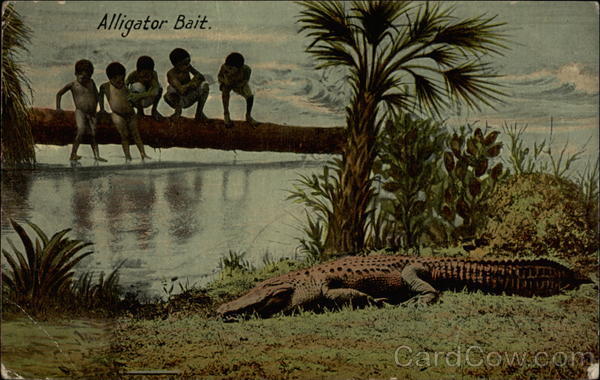 Alligator Bait Black Americana