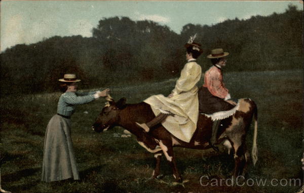 Riding the Cow Comic, Funny