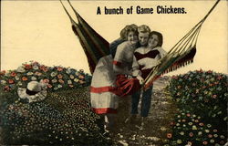 A Bunch of Game Chickens Threesomes Postcard Postcard