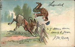 Donkey Bucking off Guy Postcard