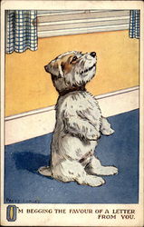 I'm Begging theFavor of a Letter From You Postcard