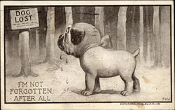 I'm Not Forgotten, After All Postcard