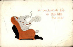A Bachelor's Life is the Life for Me! Postcard