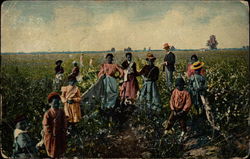 Slave women and children picking cotton under the watchful eye of their overseer Postcard