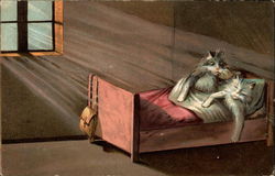Two Cats in Bed Postcard