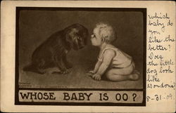 Whose Baby Is Oo? Babies Postcard Postcard