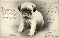 I Guess Nobody Loves Me Postcard