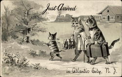 Just Arrived in Altlantic City, N.J Postcard