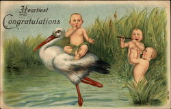 Heartiest Congratulations Babies Postcard Postcard