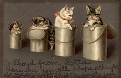 Four Kitties in Four Buckets Postcard