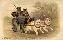 Kittens out for a Ride Postcard