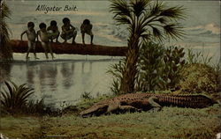 Alligator Bait Postcard