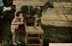 Stolen Sweets, Havana, Cuba Postcard