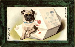 Vintage Puppy Postcards