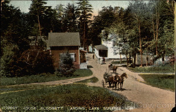 Forest House, Lake Sunapee Blodgett Landing New Hampshire