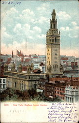 Madison Square Garden Postcard