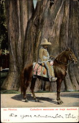 Caballera Mexicano en Traje Nacional Postcard