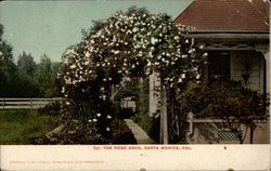 895- The Rose Aroh Santa Monica, CA Postcard Postcard