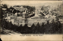 Olympia Brewery. "It's the Water" Washington Postcard Postcard