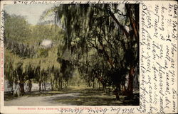 Ridgewood Ave., Looking North Postcard