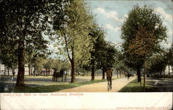 Cycle Path on Ocean Boulevard Postcard