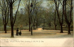 Mount Morris Park, Looking South Postcard