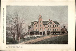 Hotel Arlington At White Lake New York Postcard Postcard