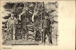 The Hunters The Hunters