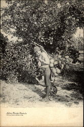 Native Florida Products Postcard