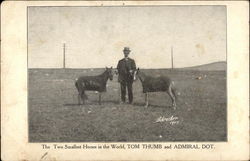 The Two Smallest Horses in the World, Tom Thumb and Admiral Dot Postcard