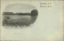 Greetings from Brevard, N. C., lake Toxaway North Carolina Postcard Postcard