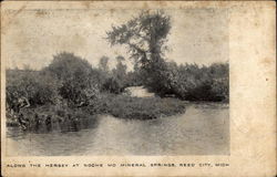 Along the Hesey at Noche Mo Mineral Springs Reed City, MI Postcard Postcard