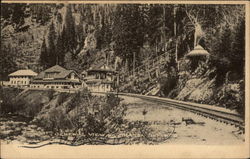 General View of Shasta Springs Postcard