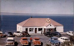 Sea Lion Caves Postcard