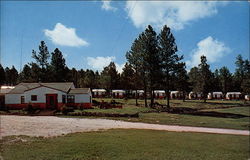 Forest Park Motel Custer, SD Postcard Postcard