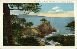 Lot of 100: Midway Point, 17 Mile Drive, Lone Cypress Postcard