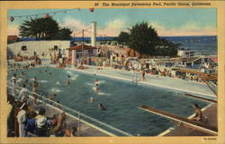 Lot of 100: The Municipal Swimming Pool Postcard