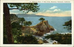 Midway Point of the 17 Mile Drive on the Monterey Peninsula California Postcard Postcard Postcard