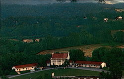 Colonial Manor Motor Lodge Postcard