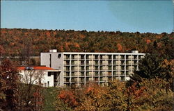 Pocono Mountain Lodge Postcard