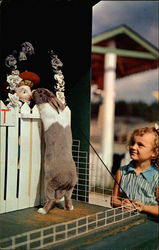 Fairyland Zoo Black Hills, SD Postcard Postcard