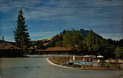 Sherwood Forest Motel Postcard