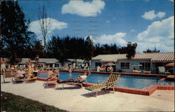 Saxon Motel & Apts Postcard