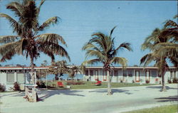 Island Motel Fort Myers, FL Postcard Postcard